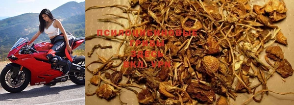 ПСИЛОЦИБИНОВЫЕ ГРИБЫ Усмань