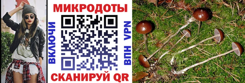 Купить  Топки  Псилоцибиновые грибы Magic Shrooms 